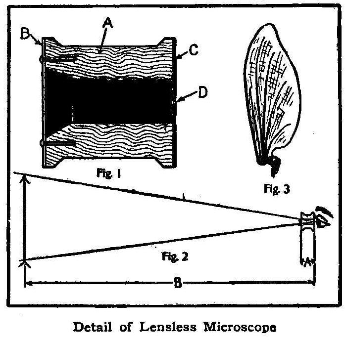 Detail of Lensless Microscope