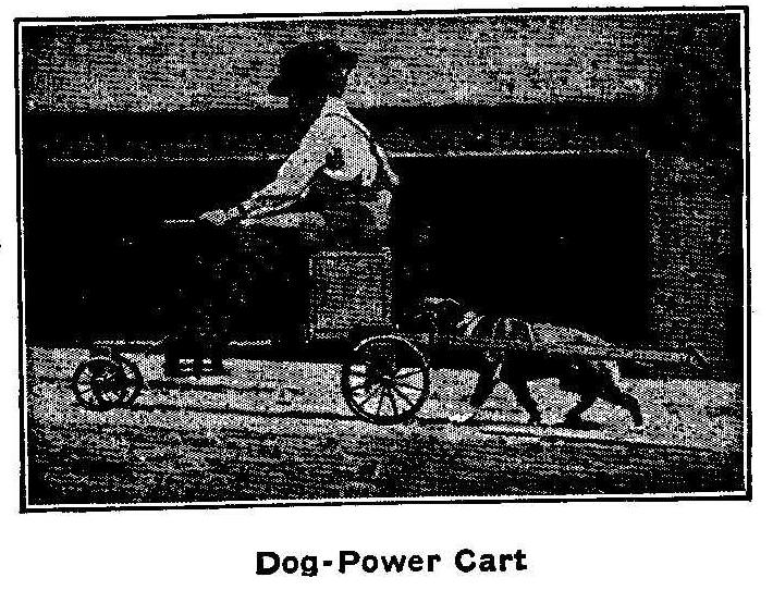 Dog-Power Cart