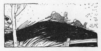 Mr. Fox cuts the Cottontails