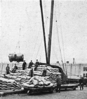 Loading Lighters, Bush Docks, New York