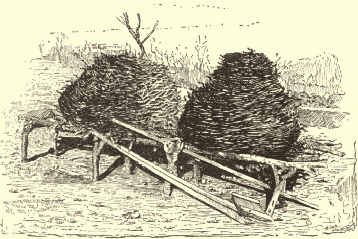 Granary at Coahuilla. (From Photograph.) Illustration.