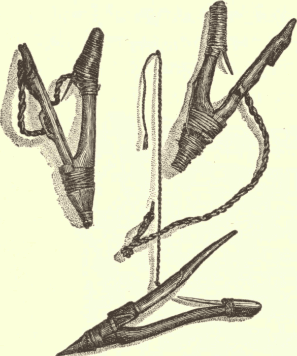 Halibut Hooks of Wood. (From Originals in Peabody Museum.) Illustration.
