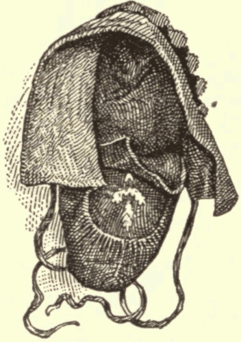 Iroquois Moccasin. (From Original in Peabody Museum.) Illustration.