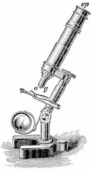 Fig. 14.

Student's microscope.
ep, Eye-piece, o, g, Object-glass.