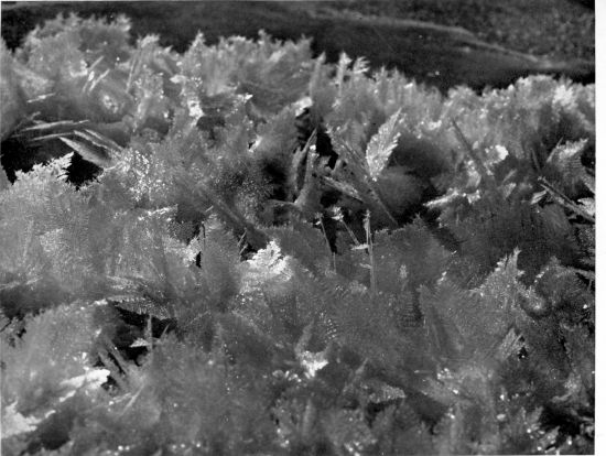 [Image unavailable.]